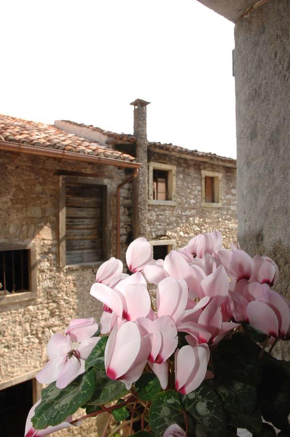 Albergo Diffuso Valcellina E Val Vajont In Erto Екстер'єр фото